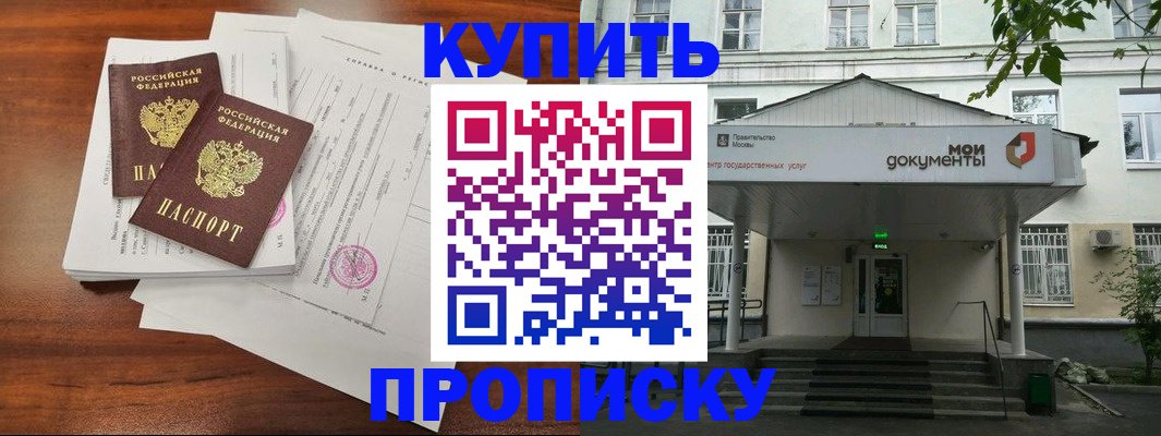 прописка для школы в Новом Осколе